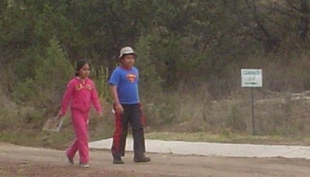 Caminando en el parque